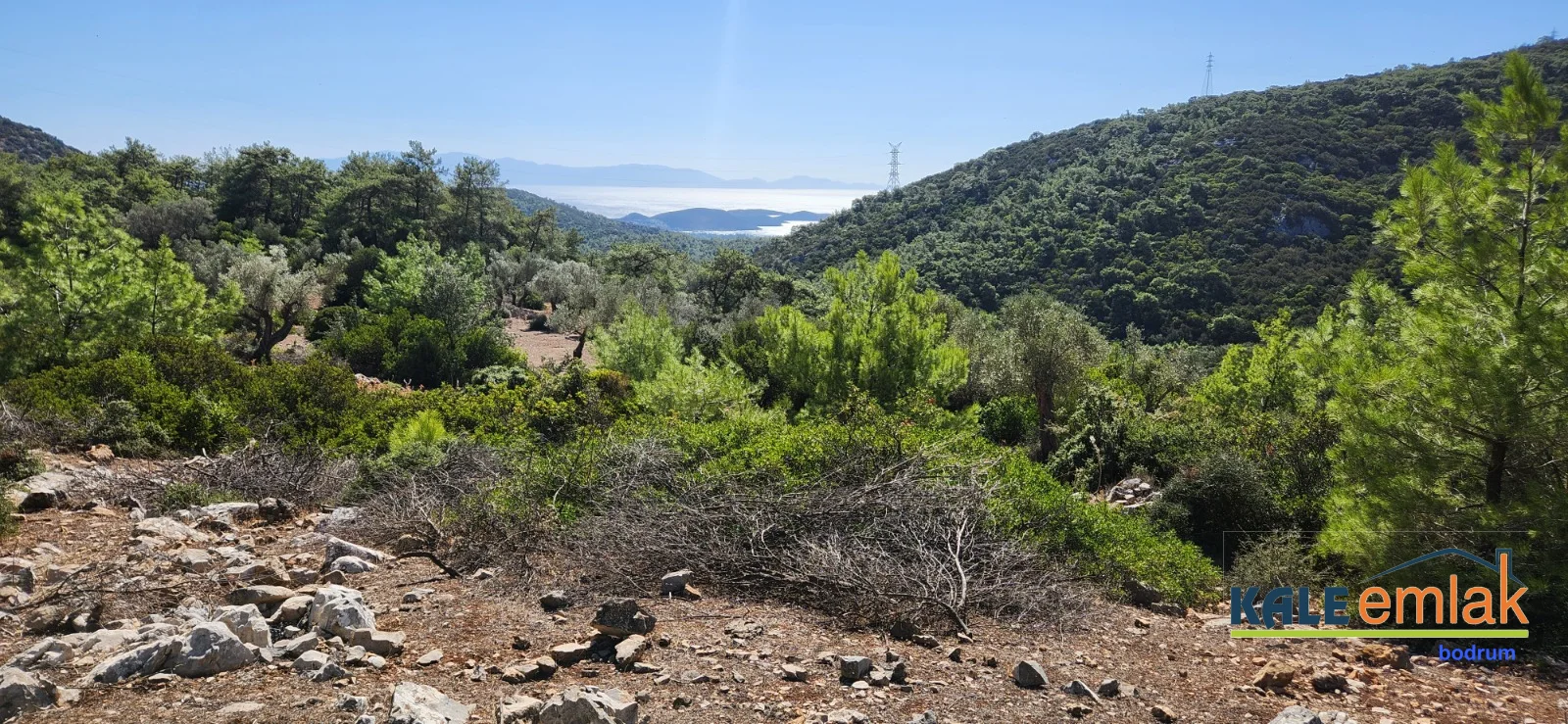 Dağbelen Girel mevkii 12700m2 Tarla